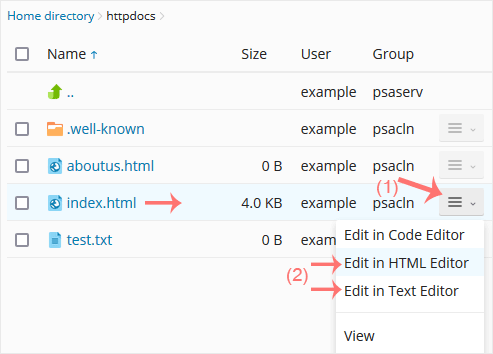 plesk-filemanager-edit-file-contextmenu.gif